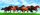 3D Pravítko - Horses in green field deep 3D Pravítko - Horses in green field deep