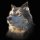 3D pohlednice Wolf Selfie Square 3D pohlednice Wolf Selfie Square