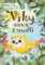 Viky, sůva z nudlí - DVD