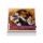 Kočky a koťata 2027 - Stolní kalendář