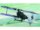 Model Albatros D3 Model Albatros D3