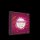 Evergreen Show I+II - DVD Evergreen Show I+II - DVD