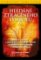 Hledání ztraceného symbolu - DVD digipack Hledání ztraceného symbolu - DVD digipack