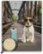 Obraz dřevěný: Dog, 240x300 Obraz dřevěný: Dog, 240x300