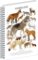 Spirálový blok Animalium - Psovité šelmy, linkovaný, A4 Spirálový blok Animalium - Psovité šelmy, linkovaný, A4