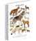 Spirálový blok Animalium - Psovité šelmy, linkovaný, A5