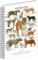Spirálový blok Animalium - Kočkovité šelmy, čtverečkovaný, A5 Spirálový blok Animalium - Kočkovité šelmy, čtverečkovaný, A5
