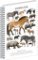 Spirálový blok Animalium - Lichokopytníci, čtverečkovaný, A4 Spirálový blok Animalium - Lichokopytníci, čtverečkovaný, A4