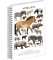 Spirálový blok Animalium - Lichokopytníci, čtverečkovaný, A5 Spirálový blok Animalium - Lichokopytníci, čtverečkovaný, A5