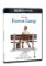 Forrest Gump BD (UHD) Forrest Gump BD (UHD)