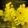CD Hyena - audioknihovna CD Hyena - audioknihovna