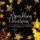 LP Various - Sparkling Christmas (Gold vinyl) LP Various - Sparkling Christmas (Gold vinyl)