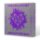 CD Dream Catcher - Apocalypse: From Us