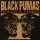 LP Black Pumas - Chronicles of a Diamond (Diamond White Vinyl) LP Black Pumas - Chronicles of a Diamond (Diamond White Vinyl)