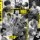 CD Stray Kids - I Am Who DLX