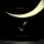 LP Tedeschi Trucks Band: I Am The Moon: III. The Fall LP Tedeschi Trucks Band: I Am The Moon: III. The Fall