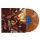 LP CREEDENCE CLEARWATER REVIV - BAYOU COUNTRY LP CREEDENCE CLEARWATER REVIV - BAYOU COUNTRY