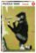 Puzzle Banksy: Roller Chimp 1000 dílků