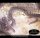 Hobbit - CD