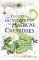 The Element Encyclopedia of Magical Creatures: The Ultimate A-Z of Fantastic Beings from M The Element Encyclopedia of Magical Creatures: The Ultimate A-Z of Fantastic Beings from M