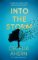 Into the Storm Into the Storm