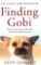 Finding Gobi Finding Gobi