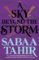 A Sky Beyond the Storm