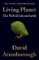 Living Planet : The Web of Life on Earth Living Planet : The Web of Life on Earth