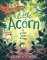 Little Acorn Little Acorn