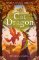 Cat Dragon Cat Dragon