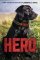 Hero Hero