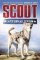 Scout: National Hero Scout: National Hero