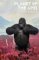 Planet of the Apes Planet of the Apes