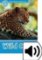 Oxford Read and Discover Level 1 Wild Cats with Mp3 Pack Oxford Read and Discover Level 1 Wild Cats with Mp3 Pack