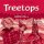 Treetops 4 Class Audio CDs /2/ Treetops 4 Class Audio CDs /2/