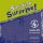 Surprise Surprise! 4 Class Audio CD Surprise Surprise! 4 Class Audio CD