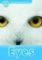 Oxford Read and Discover Level 1 Eyes Oxford Read and Discover Level 1 Eyes
