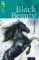 Oxford Reading Tree TreeTops Classics 16 Black Beauty Oxford Reading Tree TreeTops Classics 16 Black Beauty