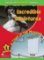Incredible Sculptures / A Thief in the Museum/Macmillan Children´s Readers Level 4 Incredible Sculptures / A Thief in the Museum/Macmillan Children´s Readers Level 4