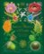 The Secret World of Plants: Tales of More Than 100 Remarkable Flowers, Trees, and Seeds The Secret World of Plants: Tales of More Than 100 Remarkable Flowers, Trees, and Seeds