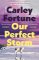 Our Perfect Storm Our Perfect Storm