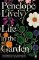 Life in the Garden