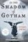 In the Shadow of Gotham In the Shadow of Gotham