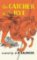 The Catcher in the Rye The Catcher in the Rye