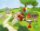 Hello Robby Rabbit 2 Story Cards Hello Robby Rabbit 2 Story Cards