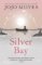 Silver Bay Silver Bay