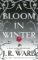 Bloom in Winter Bloom in Winter