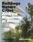 Andrew Bromberg at Aedas: Buildings, Nature, Cities Andrew Bromberg at Aedas: Buildings, Nature, Cities