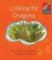 Cambridge Storybooks 1: Looking for Dragons: Brown & Ruttle Cambridge Storybooks 1: Looking for Dragons: Brown & Ruttle