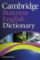 Cambridge Business English Dictionary Cambridge Business English Dictionary